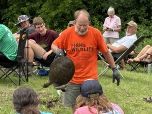 Dennis Weiss Turtle